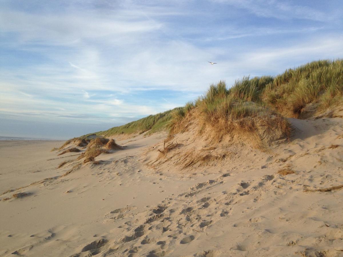 Beachhouses Texel De Koog  Luaran gambar